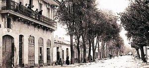 1025- Sidi-Bel-Abbes - Avenue Kleber2